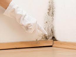 Best Mold Remediation for Healthcare Facilities  in Cross Mountain, TX